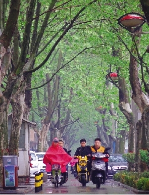 小雨中美麗的嵩山路 小雨中美麗的嵩山路