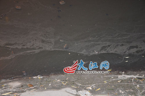 19日晚上的玉帶河，紅色河水變回灰綠色。