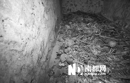 　5月29日，在以色列特拉維夫市雅法地區(qū)，一處集體墳?zāi)贡话l(fā)現(xiàn)。