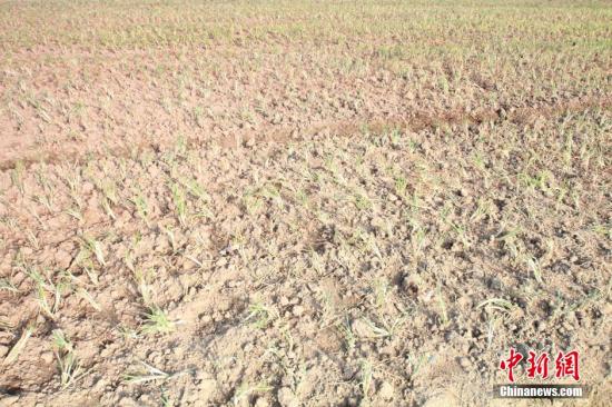 2014年7月31日早晨，浙江紹興市區(qū)蔬菜批發(fā)市場旁邊的土地已經(jīng)發(fā)生開裂。