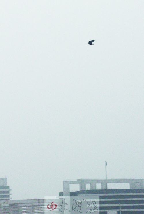 全省35個(gè)縣市發(fā)布惡劣天氣預(yù)警信號(hào)，其中15個(gè)發(fā)布大霧紅色預(yù)警