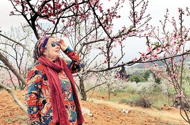 公式“時(shí)尚奶奶”的賞花照，收獲了好多人的點(diǎn)贊。 受訪者供圖