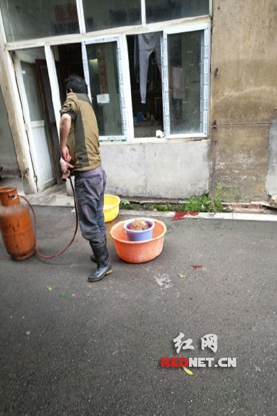 5月8日，男子在校園里殺狗，地上殘留一塊血跡。目擊者供圖。