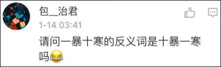 鶴立雞群？雞立鶴群！