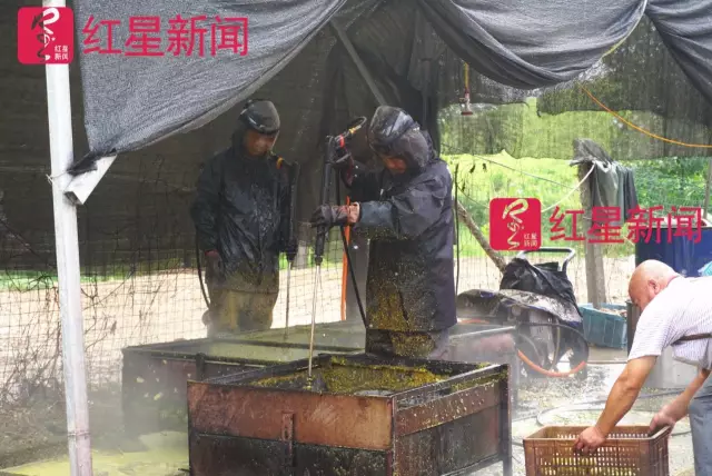 文玩核桃遇冷由幾萬(wàn)一對(duì)降到5元沒(méi)人要？商戶(hù)否認(rèn)