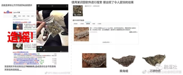 PGone又教給我們一個新詞：虐粉。