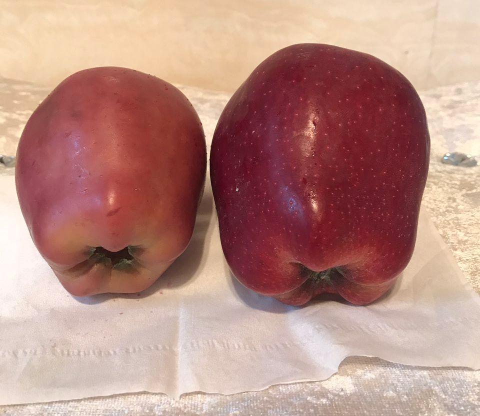 嚇懵！女子用熱水泡蘋果結(jié)果冒出血珠 咋回事？