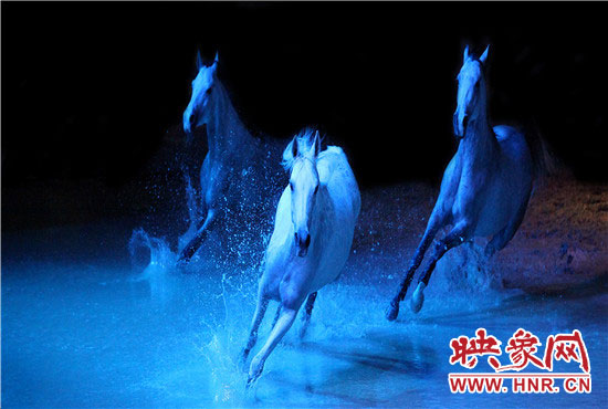 夢幻舞馬演出現(xiàn)場