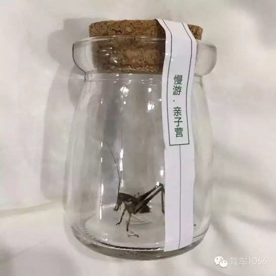 看看我的成果吧！