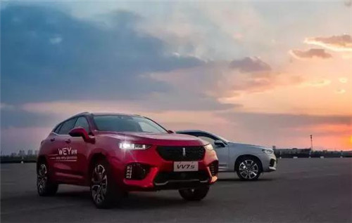 去年“蹦”出來的新汽車品牌們，現(xiàn)在活得怎么樣了？