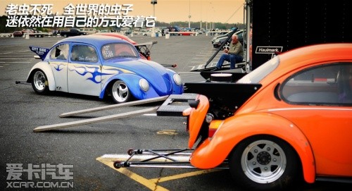 大眾甲殼蟲 大眾甲殼蟲