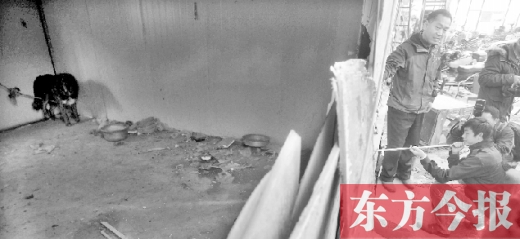 12月4日，鄭州市未來路與隴海路交叉口西側(cè)，執(zhí)法人員用吹管麻醉針對(duì)付一只藏獒