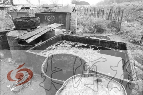 　　骯臟、令人作嘔的油桶凌亂地擺放在院子里，為了避免視覺刺激，我們把它做成了黑白圖片。