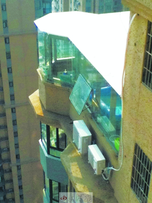 鄭州羅馬假日住戶樓頂私蓋玻璃房 小區(qū)安全存隱患 鄭州羅馬假日住戶樓頂私蓋玻璃房 小區(qū)安全存隱患