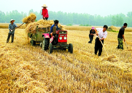 6月1日，舞鋼市礦建街道張我莊村幫扶隊員在幫村民收秸稈。