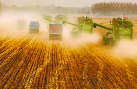 田里，一臺臺收割機唱著豐收歌。