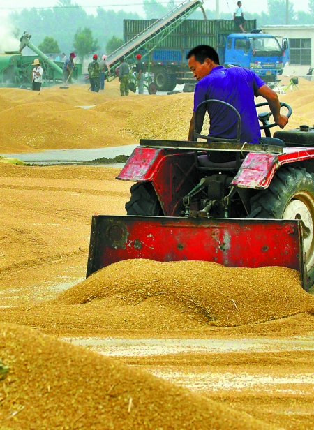 精心晾曬，散倉入庫。