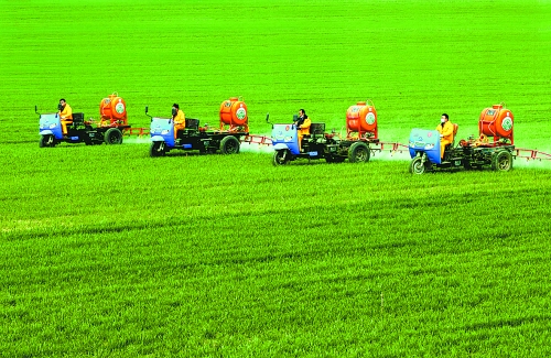 車(chē)載噴霧機(jī)奔駛在萬(wàn)畝高產(chǎn)田里。