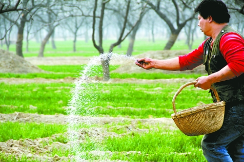 3月18日，內(nèi)黃縣城關(guān)鎮(zhèn)農(nóng)民在給小麥?zhǔn)┓省Ｑ巯抡嵌←湻登嗟年P(guān)鍵時(shí)期，內(nèi)黃縣廣大農(nóng)民積極開展以澆水