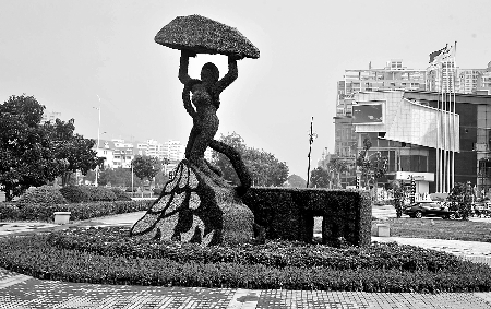 8月28日，南陽(yáng)街頭繁花似錦，市民宛若行走在花海之中。