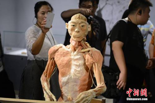 生命奧秘博物館入駐周莊 生命奧秘博物館入駐周莊