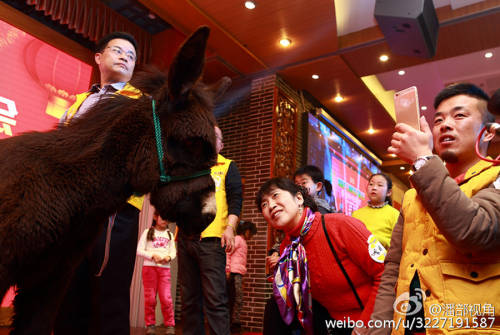 江蘇一公司奇葩年會(huì):當(dāng)場領(lǐng)牲畜 江蘇一公司奇葩年會(huì):當(dāng)場領(lǐng)牲畜