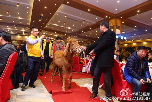 江蘇一公司奇葩年會(huì):當(dāng)場領(lǐng)牲畜 江蘇一公司奇葩年會(huì):當(dāng)場領(lǐng)牲畜