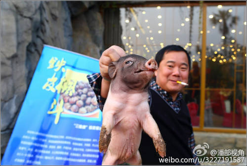 江蘇一公司奇葩年會(huì):當(dāng)場領(lǐng)牲畜 江蘇一公司奇葩年會(huì):當(dāng)場領(lǐng)牲畜