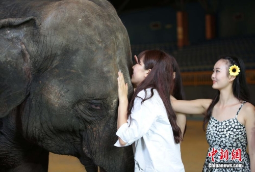 學(xué)生參加?；ㄐ２荽筚?穿比基尼秀身材