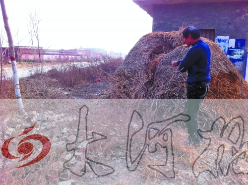 張哥、張弟就是在這兒撿到的投毒面包。