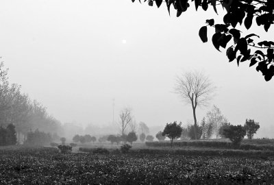 3月26日上午8點(diǎn),鄭大新校區(qū),濃濃的霧霾埋沒了大好春景。