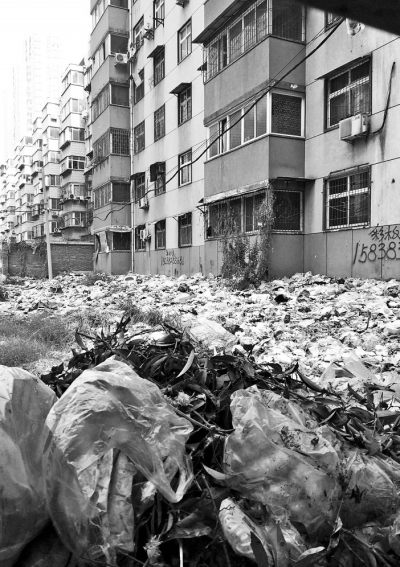 透過(guò)擋板縫向內(nèi)看，30多米垃圾已經(jīng)將居民樓包圍。