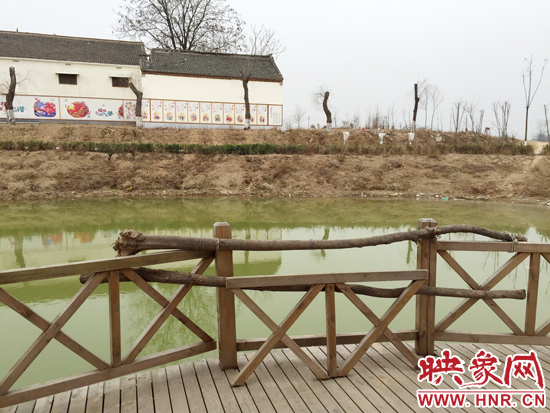 護欄損毀的地方，已經被兩根樹干擋住。