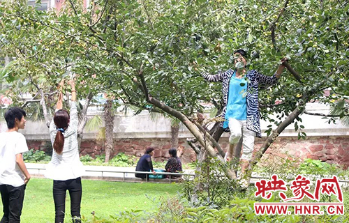 爬樹(shù)摘果子 爬樹(shù)摘果子