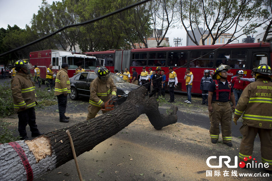 　當(dāng)?shù)貢r間2014年5月8日，墨西哥墨西哥城，消防人員正在切割一棵倒下的樹?！? width=
