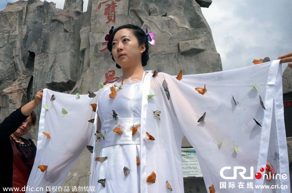 “蝴蝶仙子”身穿上百只剛剛扎死的蝴蝶。圖片來(lái)源：老祝/東方IC