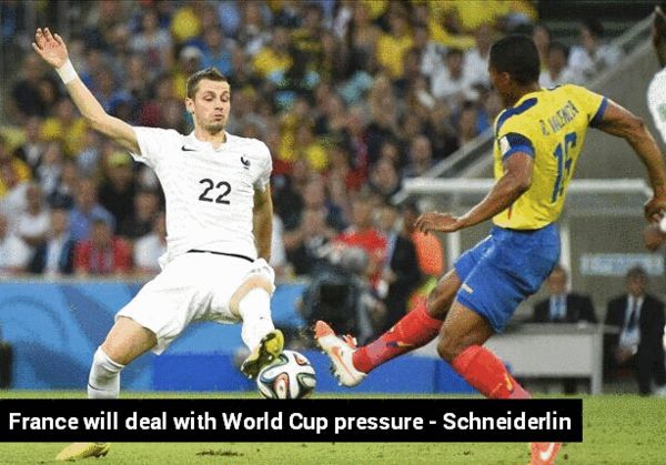 施內(nèi)德林:法國會直面壓力 施內(nèi)德林:法國會直面壓力