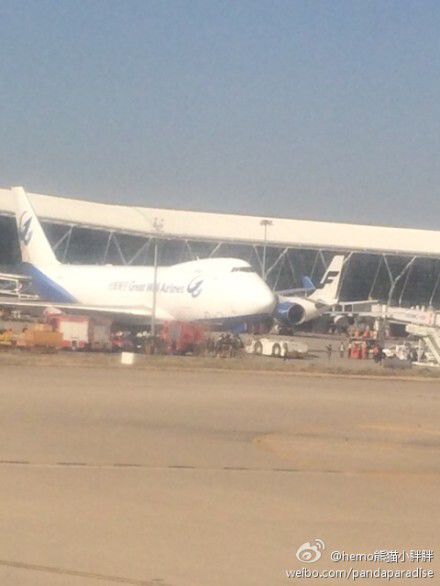 圖說(shuō)：發(fā)生事故的飛機(jī)。圖片來(lái)源：新浪微博網(wǎng)友圖（請(qǐng)私信“新民晚報(bào)新民網(wǎng)”以奉稿酬）