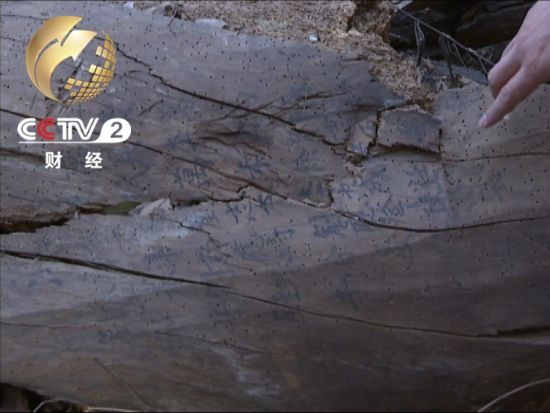 布滿(mǎn)蟲(chóng)眼的木質(zhì)大梁 上面寫(xiě)著捐資人姓名