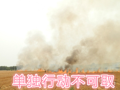 不要單獨(dú)一個人亂沖亂打：單獨(dú)行動被煙氣沖昏倒地，無人發(fā)覺被燒；