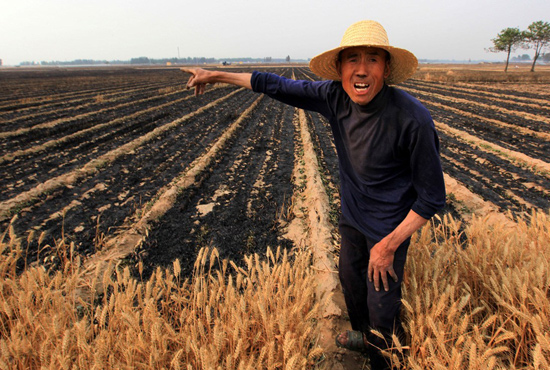 河南省滑縣、內(nèi)黃縣麥田著火，麥壟套種的花生、玉米苗也被烤焦，群眾損失慘重