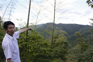 村民吳學(xué)田告訴記者，對面兩座山就是潘建友承包的部分山場 見習(xí)記者 邱一文 攝