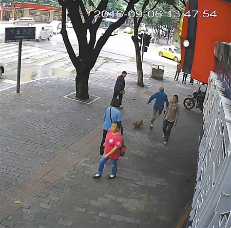 寵物狗絆倒八旬老太 沒有“逃離”現(xiàn)場坐等民警來