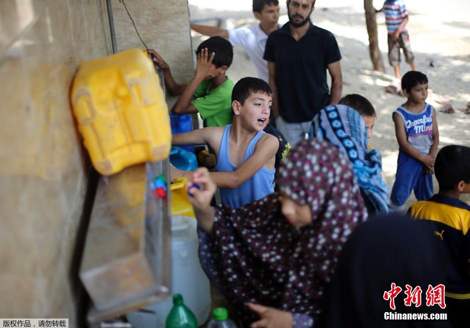 以色列對加沙發(fā)動地面進(jìn)攻 民眾攜羊群逃難 以色列對加沙發(fā)動地面進(jìn)攻 民眾攜羊群逃難