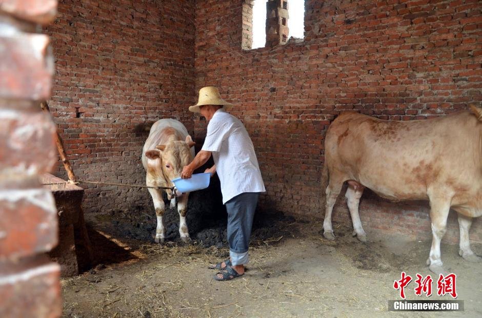 同時，地下水位的持續(xù)下降以及部分山泉水的干涸，已造成全縣2.85萬人和2000頭大牲畜出現(xiàn)飲水困難。
