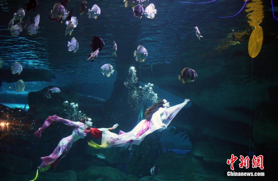 9月7日，在中秋節(jié)到來(lái)前一天，山東泉城海洋極地世界為游客帶來(lái)“嫦娥水中奔月”表演。