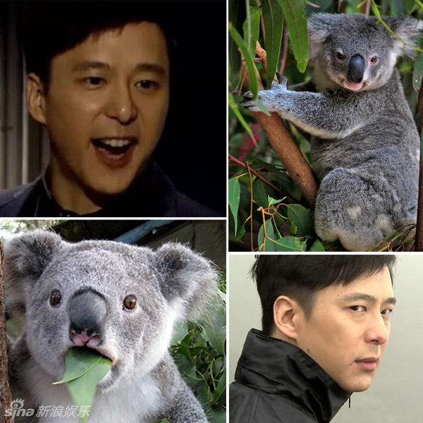 不小心就撞臉了！盤(pán)點(diǎn)動(dòng)物界的明星相