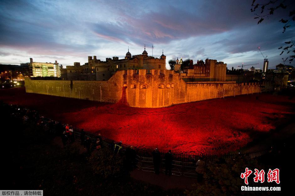 當(dāng)?shù)貢r(shí)間2014年11月10日，英國(guó)倫敦，倫敦塔周邊“種植”了888246朵陶瓷材質(zhì)的罌粟花，以此紀(jì)