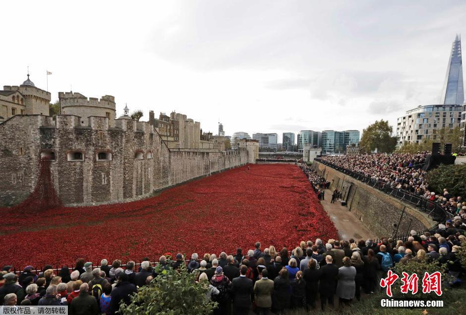 當(dāng)?shù)貢r(shí)間2014年11月10日，英國(guó)倫敦，倫敦塔周邊“種植”了888246朵陶瓷材質(zhì)的罌粟花，以此紀(jì)