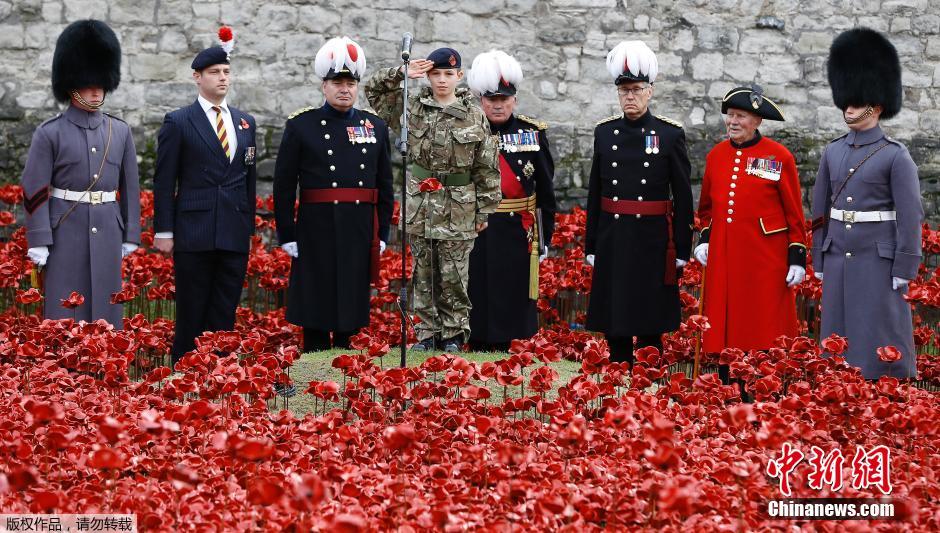 當(dāng)?shù)貢r(shí)間2014年11月10日，英國(guó)倫敦，倫敦塔周邊“種植”了888246朵陶瓷材質(zhì)的罌粟花，以此紀(jì)